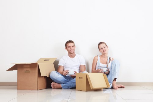 Careful loading of boxes and household items into a removal van