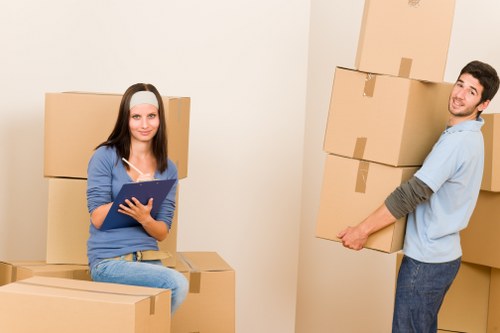 Screen-reader and inclusive access concept for Enfield Lock moving services